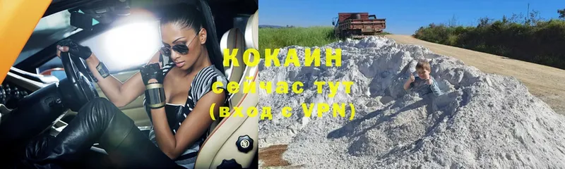 Cocaine Колумбийский  kraken ССЫЛКА  Гудермес  как найти закладки 