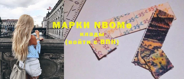 крисы Слюдянка