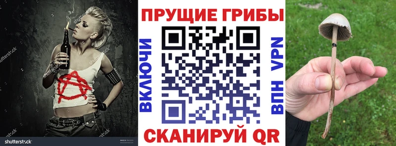 Псилоцибиновые грибы мицелий  где можно купить наркотик  Гудермес 